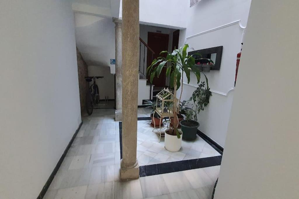 Aloja T Elvira Lägenhet Granada Exteriör bild